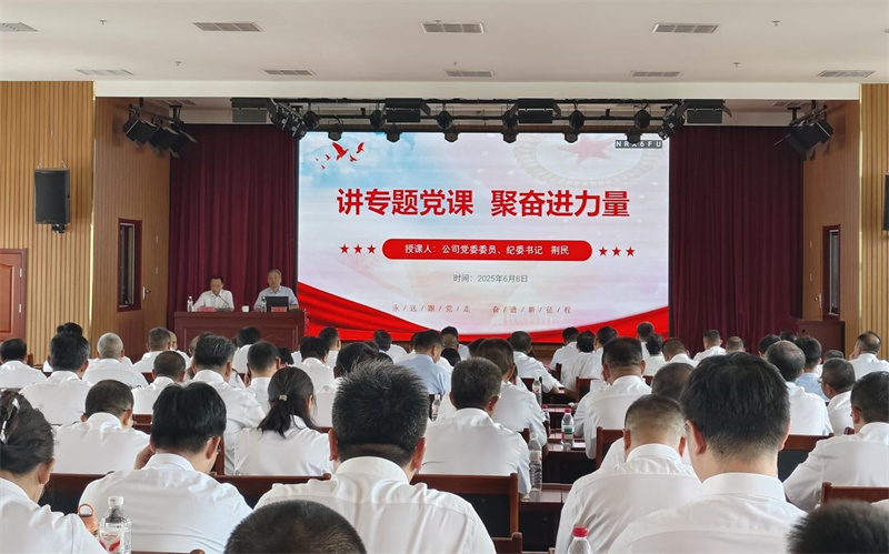 国产福利一区二区三区在线视频